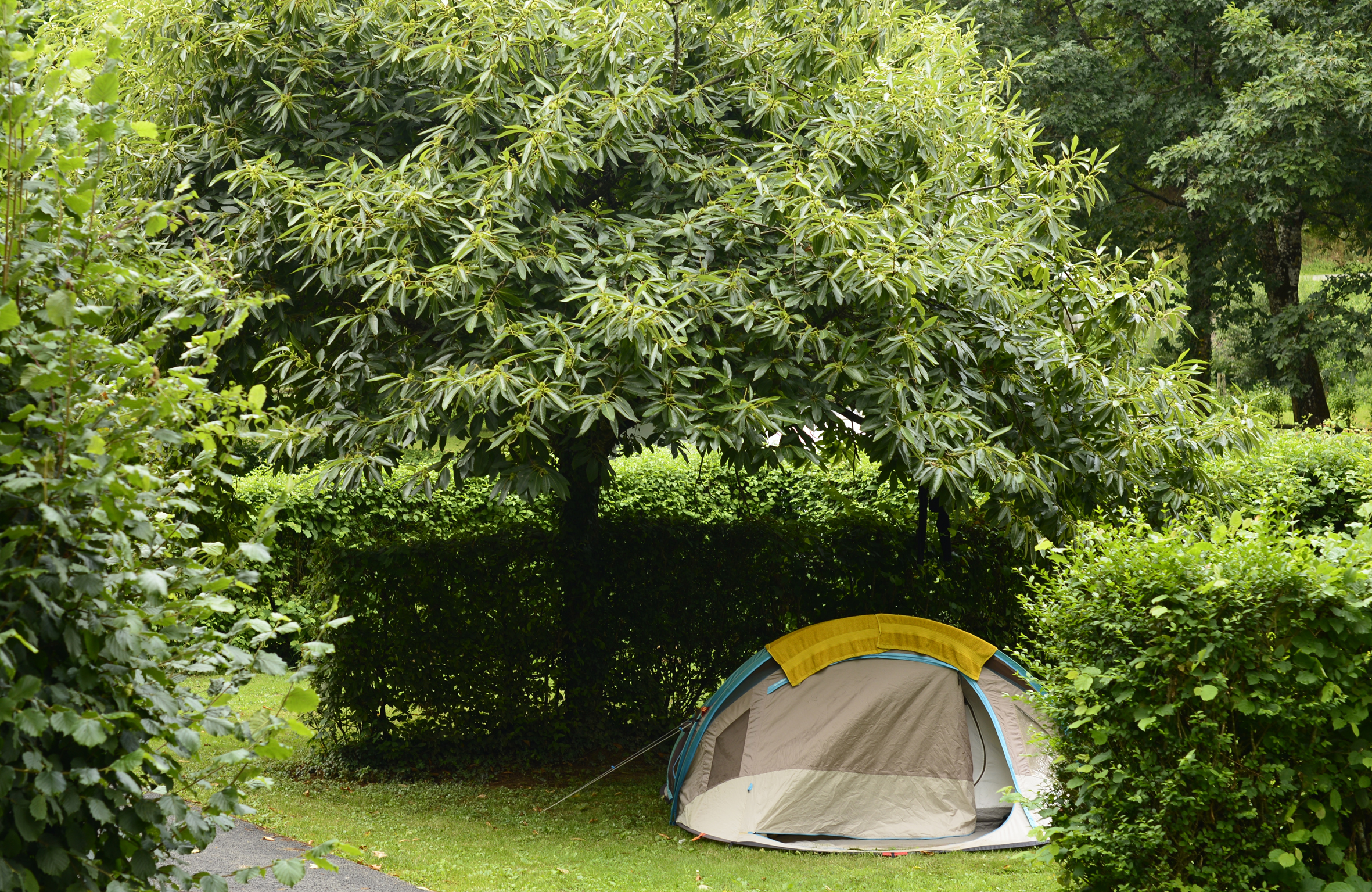 location emplacement tente vendee