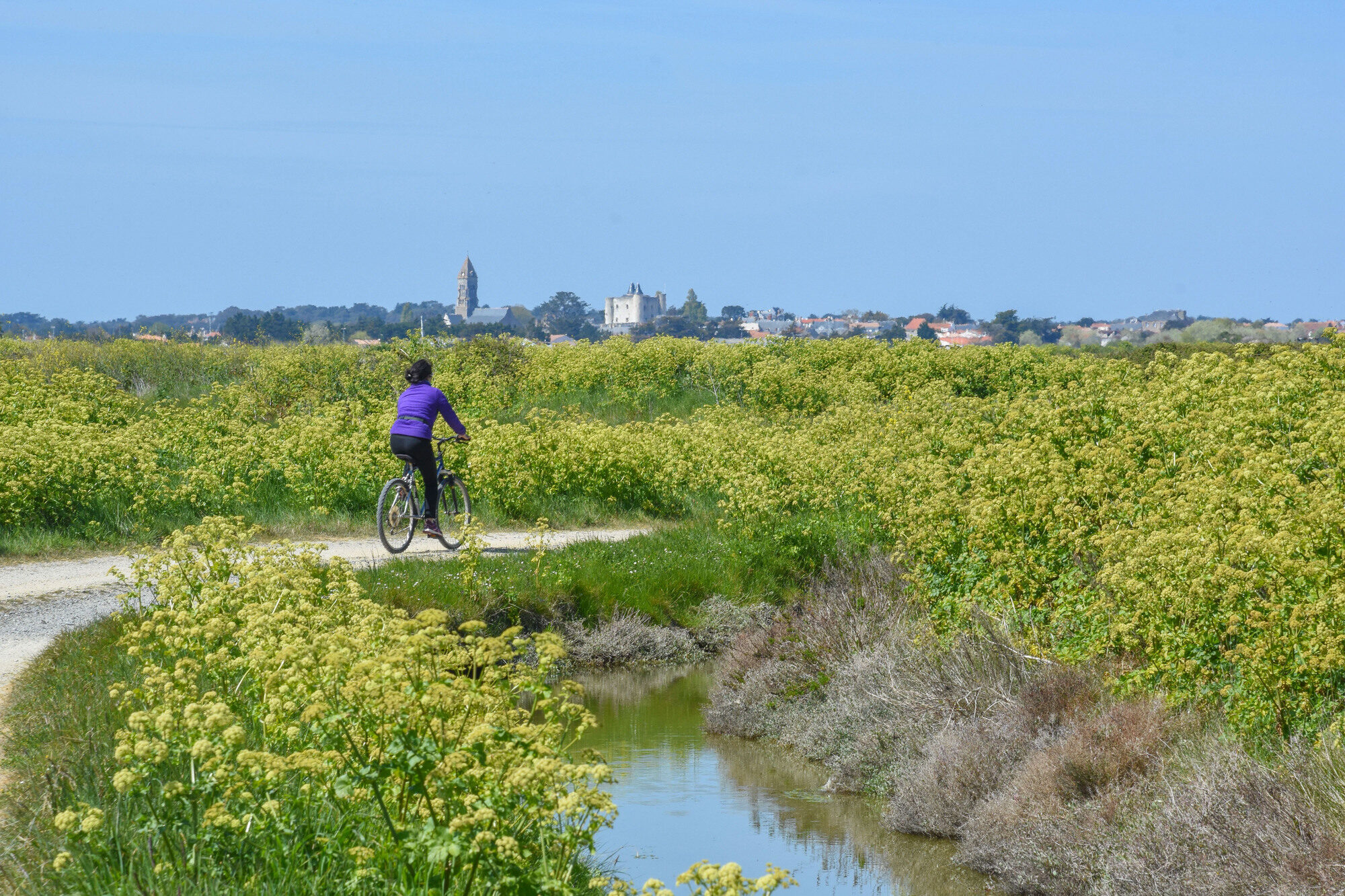 velo marais vendee